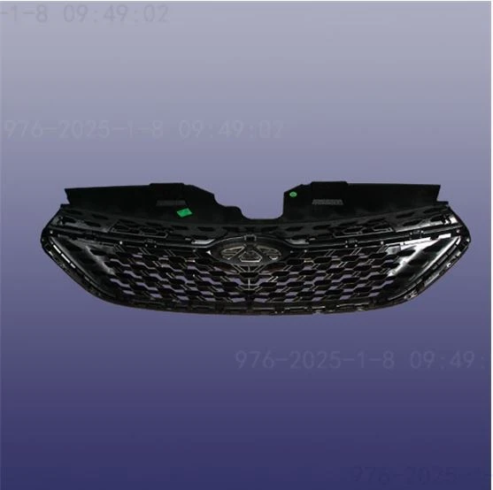 RADIATOR GRILLE & EMBLEM